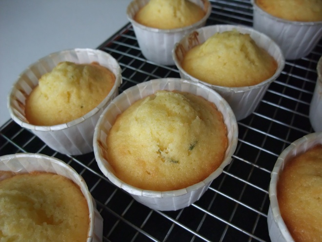 Freshly baked citrus cupcakes waiting to be iced